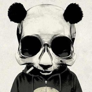 Meet your Posher, Jia bao